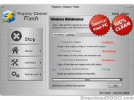 Registry Cleaner Flash screenshot